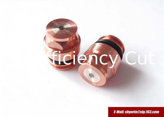 CHINA 0558003914,0558003928,0558005459 electrodo para ESAB PT-36/PT-600/PT-37. proveedor